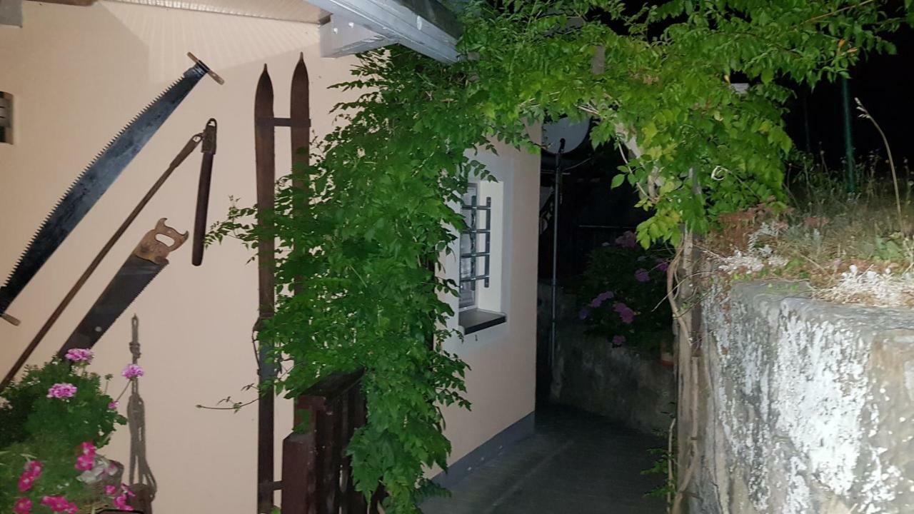 Ferienwohnungen Gründelrast Prossen Exterior foto